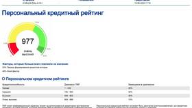 Что влияет на кредитный рейтинг физического лица в Медиа Маркт