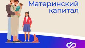 Как оформить материнский капитал через МФЦ в Медиа Маркт