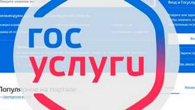 Как подтвердить УИН через портал Госуслуги в Медиа Маркт