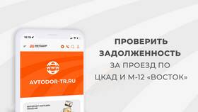 Как погасить долг за проезд в Медиа Маркт