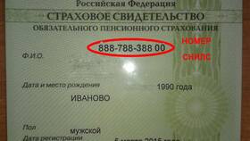 Как узнать дату регистрации в системе ПФР в Медиа Маркт