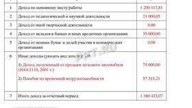 Как заполнять справку БК для госслужащих правильно в Медиа Маркт