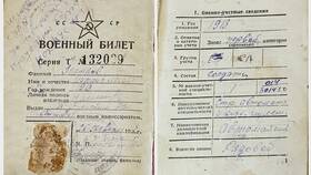 Зачем в паспорте 19 страниц в Медиа Маркт