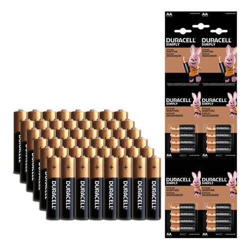 Батарейка Duracell AA (LR6) Big Pack (3*16), 48 шт в Медиа Маркт